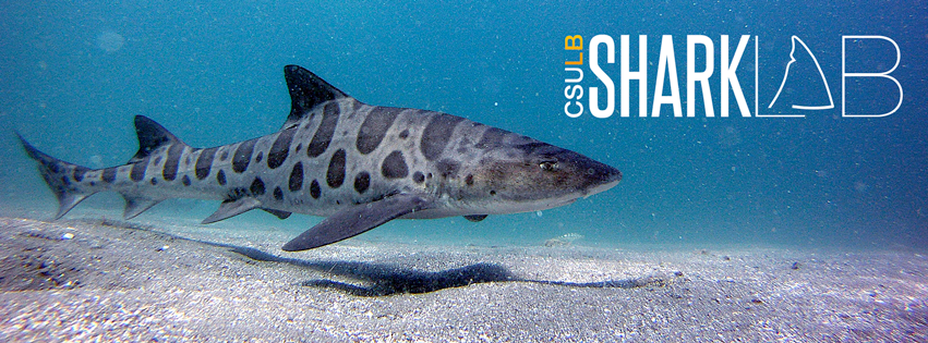 CSULB_SharkLab_Banner